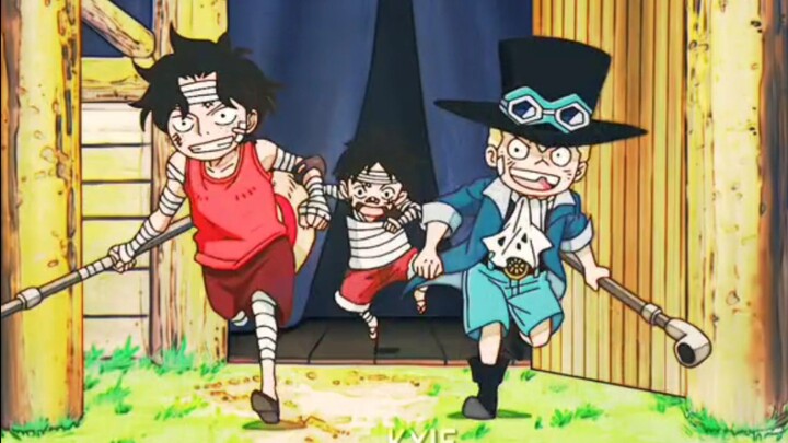 Ace x Luffy x Sabo