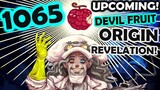 One Piece 1065: PinagMulan Ng Devil Fruit Upcoming Revelation!
