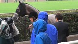 【Golden Ship Colt】Masheng’s first winning ceremony was extremely tense with Golden Sky=コガネノソラ