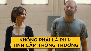 SILVER LININGS PLAYBOOK: TÌNH YÊU có phải LIỀU THUỐC CHỮA LÀNH?