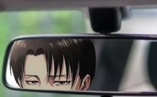 If Levi was your driver