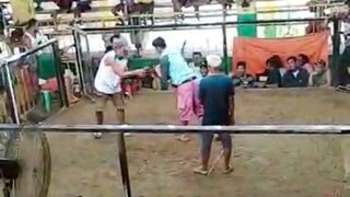 Sabong sa pinas