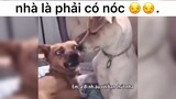 nhà là phải có nóc nhá #haihuoc