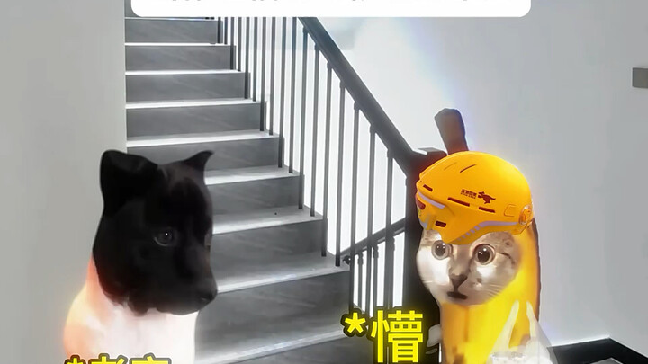 当你吐槽的时候碰到本人