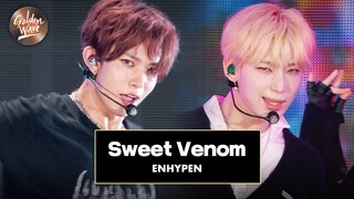 [골든 웨이브] ENHYPEN (엔하이픈) - 'Sweet Venom'