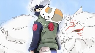 [Voice actors are all monsters] Summon yourself, Kakashi's psychic summoning technique, cat teacher,