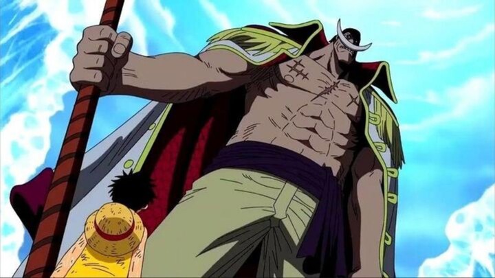 SHIROHIGE VS KAIDO SIAPA YANG MEMANG!!?😱