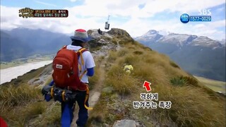 Law of the Jungle in New Zealand Chatham Islands [10 END] ENG SUB