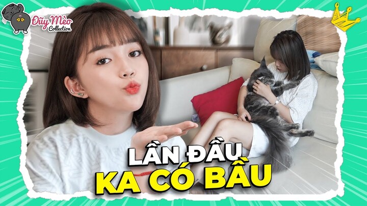 Một Ngày Siêu Vui Của Linh Chào Đón 8 Bé Mèo Con Ra Đời | ĐŨY MÈO COLLECTION