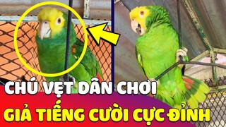 Chủ cho XEM TIKTOK quá 180 phút, CHÚ VẸT cover điệu cười HUYỀN THOẠI ai nghe cũng ngã ngửa 😂 Gâu Đần