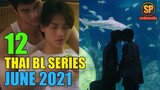 12 Ongoing Thai BL Series This June 2021 | Smilepedia Update