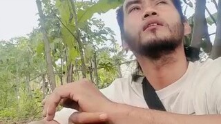 pasti laki