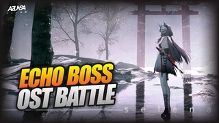 【Punishing: Gray Raven】ECHO BOSS OST BATTLE | AYLA AMPLIFIER NEW BOSS