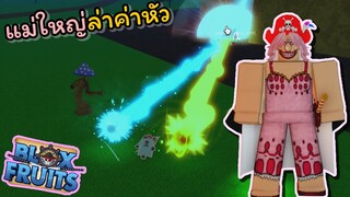 บิ๊กมัมล่าค่าหัว !!! กับผลที่เปลี่ยนไป [Blox Fruits]