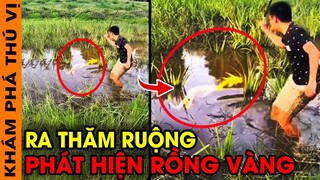 🔥 Người Dân KINH HÃI Phát Hiện 7 Sinh Vật Kỳ Lạ Xuất Hiện Khi Ra Thăm Đồng Ruộng |Phát Hiện Rồng