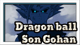 [Dragon ball]Son Gohan-The angels among demons