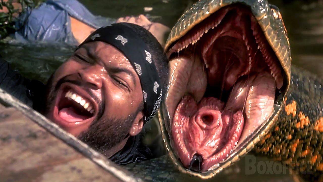 Ice Cube VS Anaconda - Bilibili