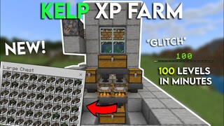 NEW Minecraft Kelp XP Farm 1.18 Minecraft Bedrock Glitch