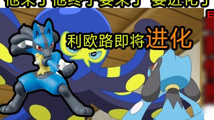 ใหม่ Muji Intelligence: ข่าวใหญ่! Riolu กำลังจะพัฒนาเป็น Lucario ในที่สุดเหรอ?