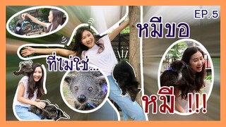 หมีขอ ไม่ใช่ หมี แล้วเป็นตัวอะไร??? EP.5