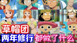 [One Piece]What did the Straw Hats do during their two years of training?