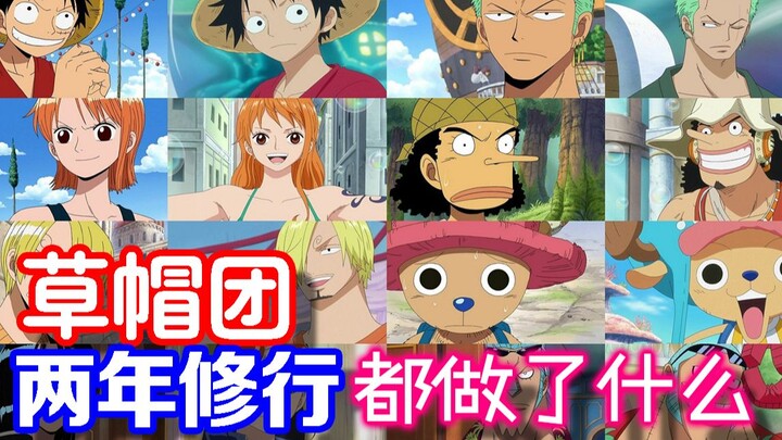 [One Piece]What did the Straw Hats do during their two years of training?