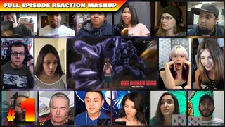 One Punch Man Season 1 Episode 1 Reaction Mashup | ワンパンマン