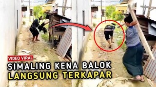 KAPOK !! Maling Apes Kena Hantaman Balok langsung Terkapar