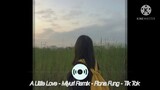 A Little Love - Miyuri Remix - Fiona Fung - Tik Tok 0:16 - Song Lucky Witch TikTok