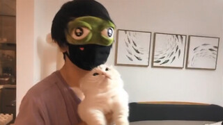 Hilarious dance cover with cats- New Treasure Island