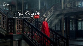 [Vietsub + Pinyin] Tục Duyên - Triệu Phương Tịnh || 缘续 - 赵方婧