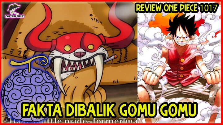 Fakta Gomu Gomu Milik Luffy | Review One Piece 1017 | One Piece