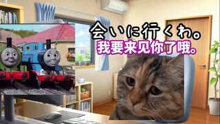 [Daging yang Dimasak] Dukungan harian untuk Thomas the Tank Engine | Meme kucing