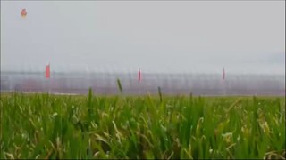 Notícias do setor agrícola
