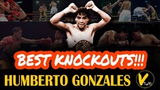 5 Humberto Gonzalez Greatest knockouts