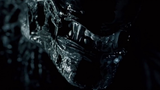 Avp Alien Vs. Predator Clip - Xenomorph Kills Pred