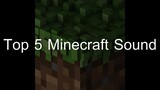 TOP 5 Minecraft Music