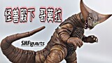 【Bouya】Is the “most expensive” tout monster worth buying? Bandai SHF Gomora Monster Unboxing Review 