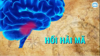 24 Điều Tuyệt Vời Cơ Thể Làm Được Mà Bạn Không Biết #kienthuc