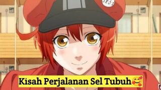 Kurir paket Paling Ceria ya ini 🥰🥰