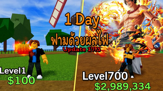 Blox Fruit Update 173 1 Day ฟามด้วยผลไฟ จะลำบากขนานไหนไปดูกัน!! Level 1 to 700 NOOB TO PRO