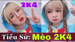 MÈO 2K4 Là Ai? Thông Tin Về Streamer Mèo 2k4 Bị L.Ộ Clip