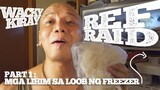 REF RAID : Ang Lihim ng Freezer