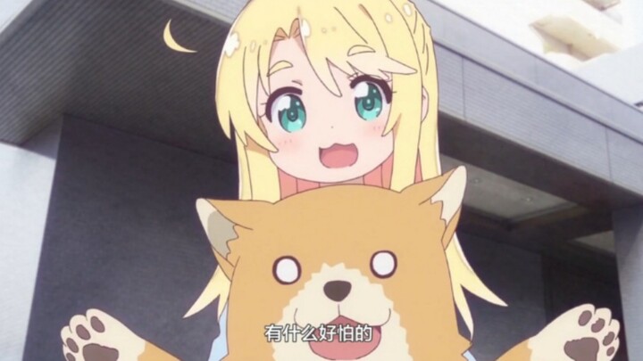这只狗也是萝莉控[脱单doge]