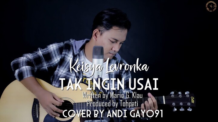 TAK INGIN USAI - KEISYA LEVRONKA || COVER BY ANDI GAYO91 ( AKUSTIK VERSION )