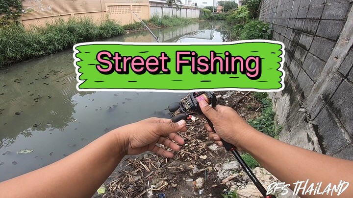 Street Fishing ปลาช่อนใหญ่กัดโหด