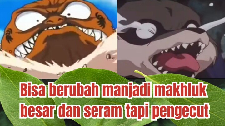 Si Penakut yang Bisa Terbang! | 5 Fakta Menarik Karakter Hachi!