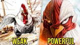 He Was A Simple Rooster But He Became Powerful And Saved Humanity! | Rooster Fighter