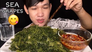 MUKBANG ASMR EATING RAW SEA GRAPES | sea grapes eating show