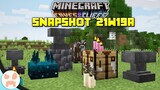 UPDATE FEATURES DELAYED & MORE! | Minecraft 1.17 Caves and Cliffs Snapshot 21w19a